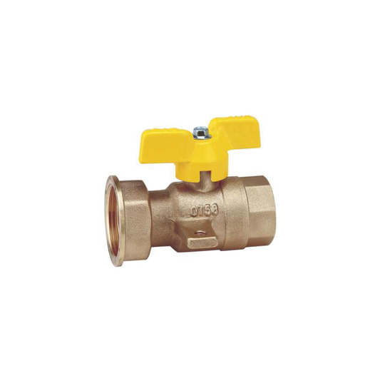 VALVE WITH CONNECTOR METER BRACKET RIV